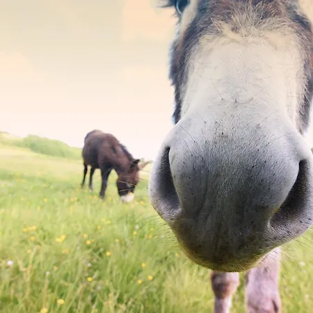 Le Domaine De Baulieu, Singuliers Hotel 4*
